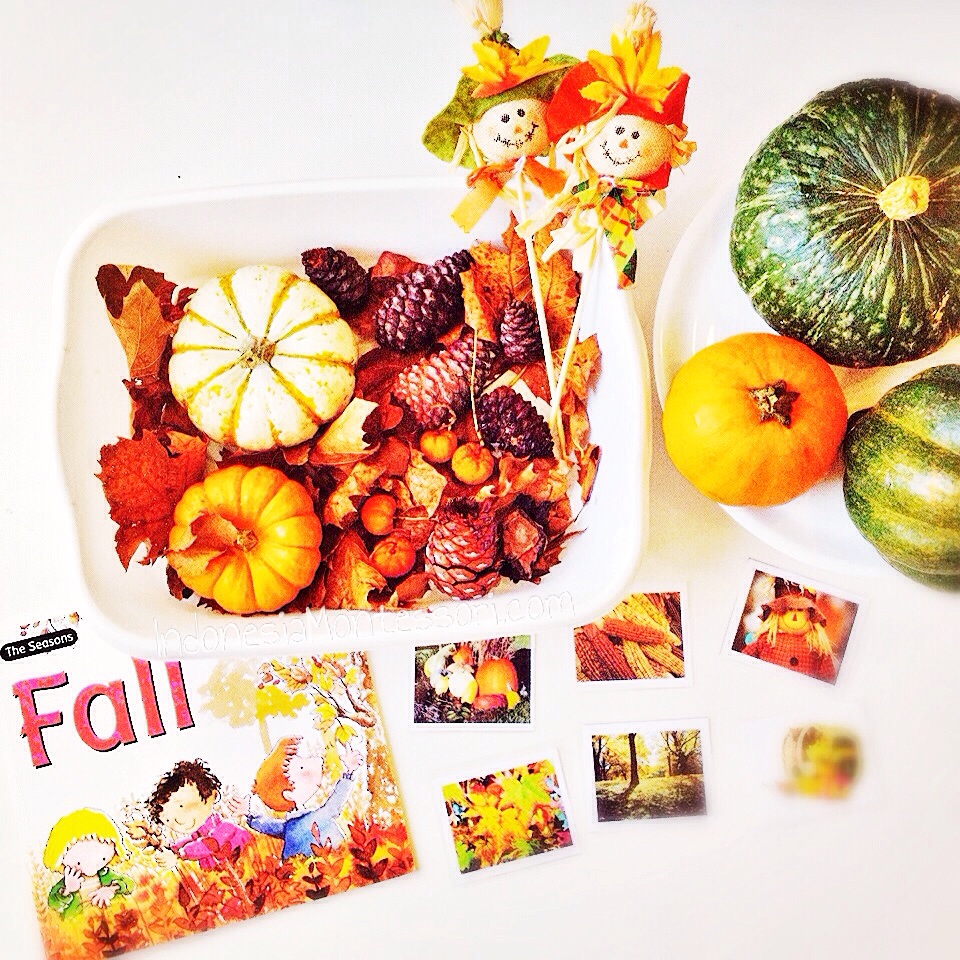 fall season sensory bin idea
