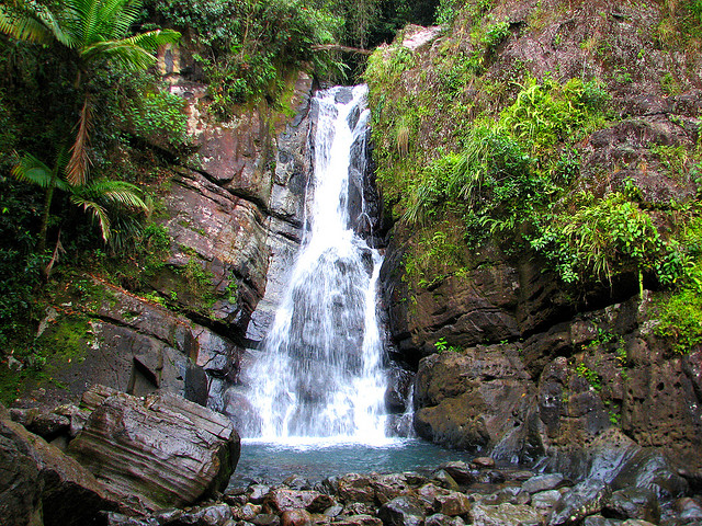 el-yunque-rainforest