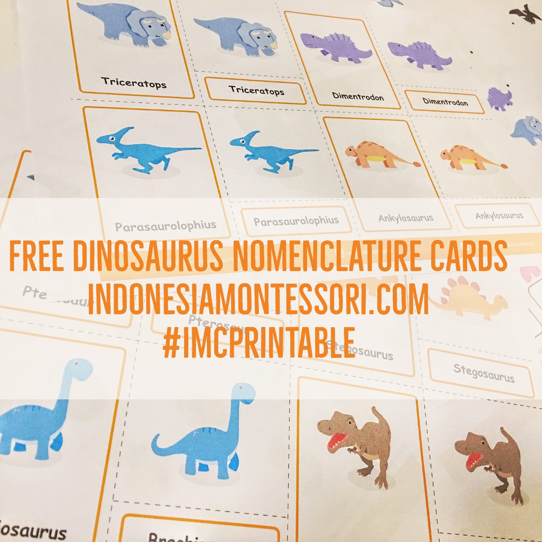 PRINTABLE MISCELLANEOUS – IndonesiaMontessori.Com