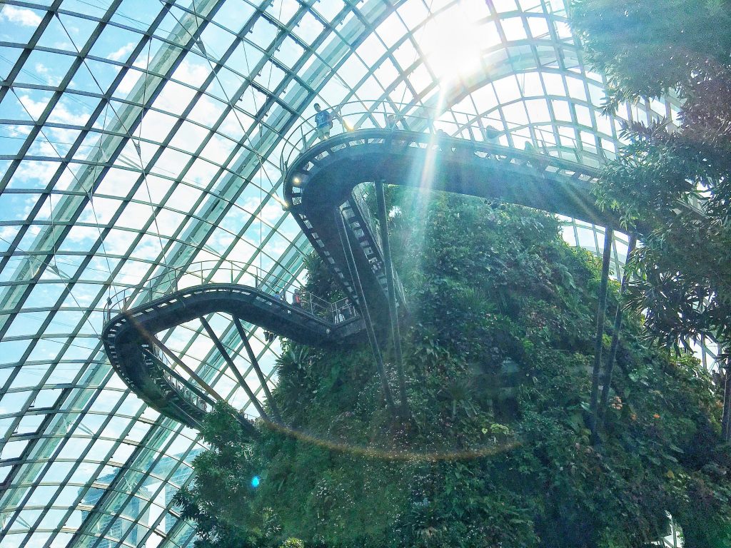 cloud forest garden by the bay